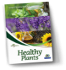 Picture of Healthy Plants