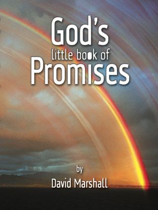 Picture of God’s little book of Promises